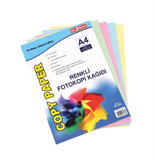 Globox 6536 Renkli Fotokopi Kağıdı 100'Lü  (24'lü Paket)